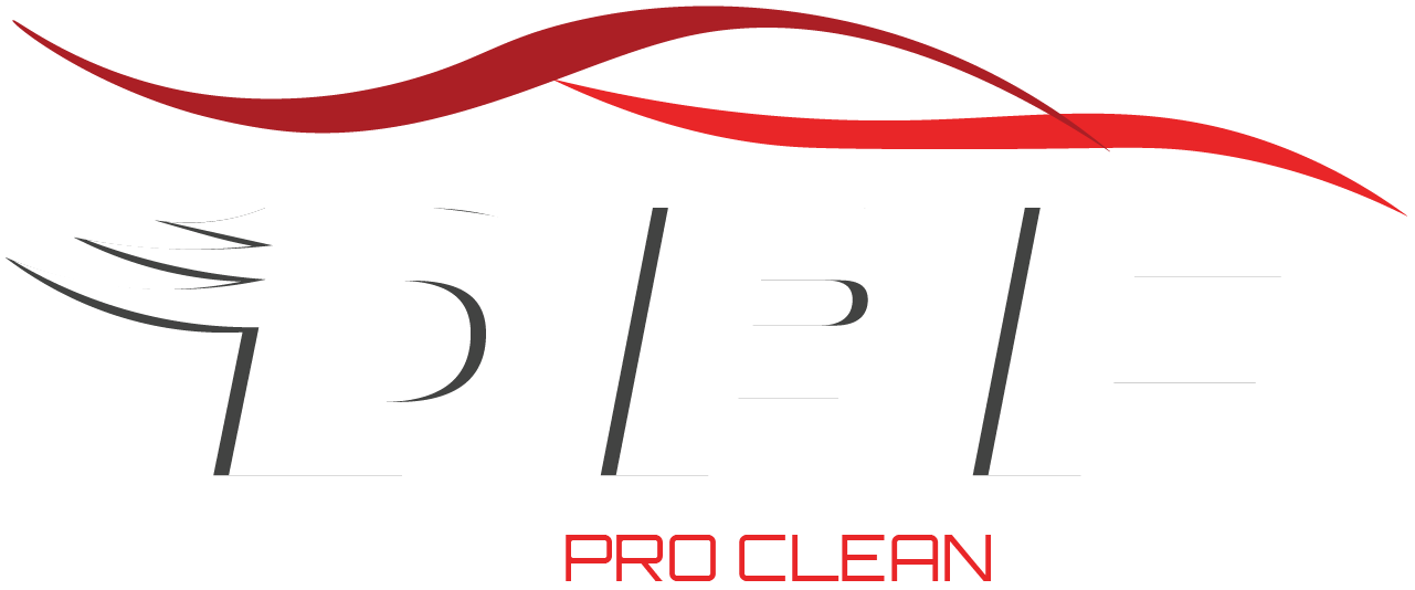 DPF Professional Cleaning